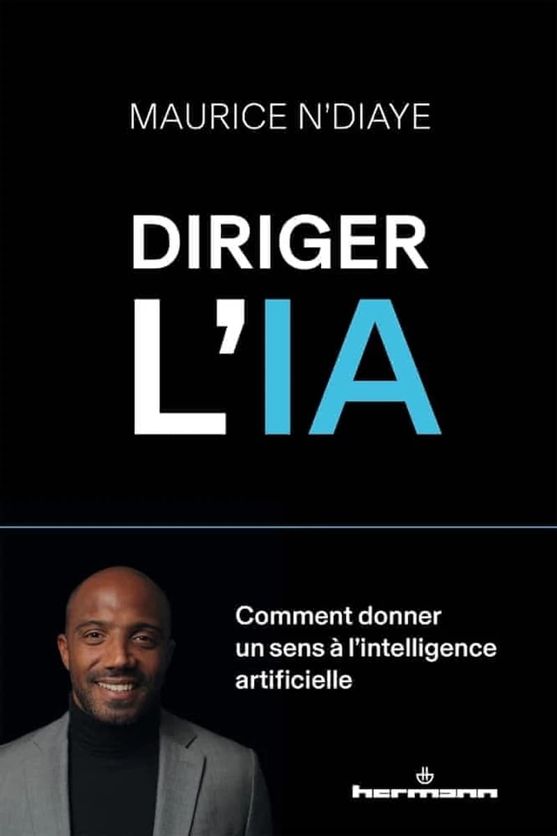Diriger l'IA : comment donner un sens à l'intelligence artificielle