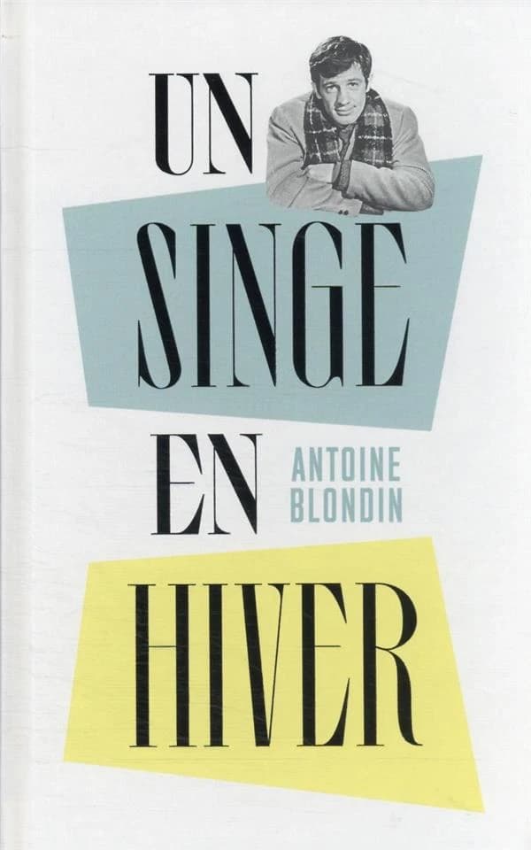 Un singe en hiver : roman