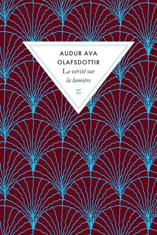 La vérité sur la lumière : roman