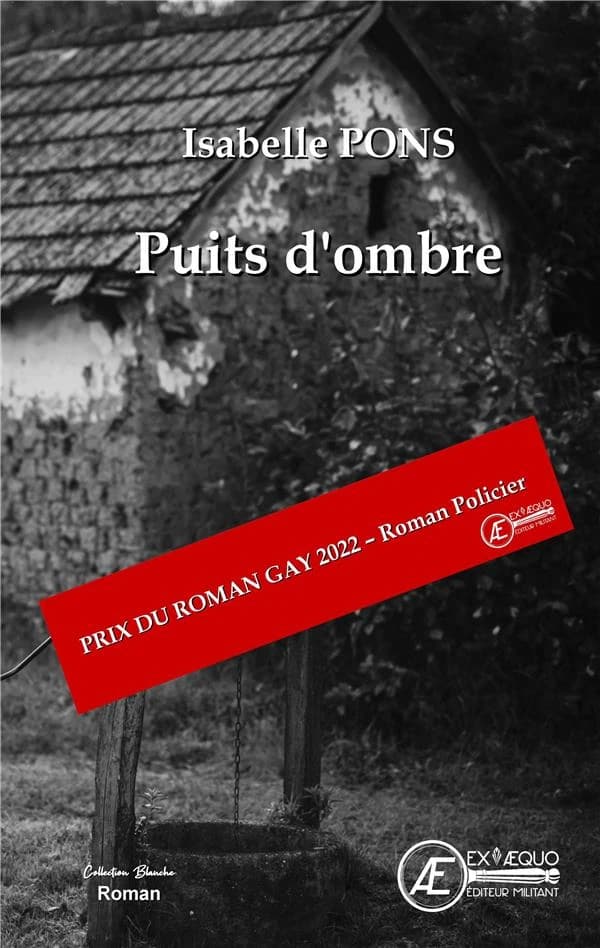 Puits d'ombre : roman