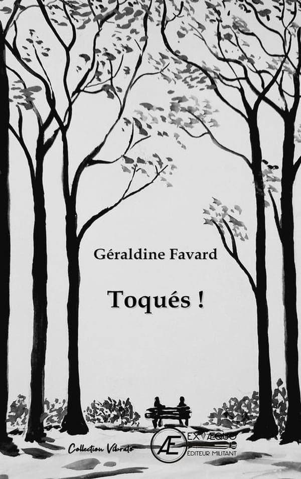 Toqués ! : roman