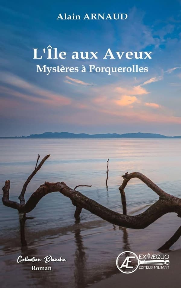 L'île aux aveux : roman