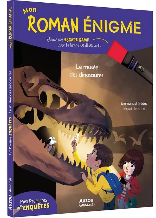 Mon roman enigme
