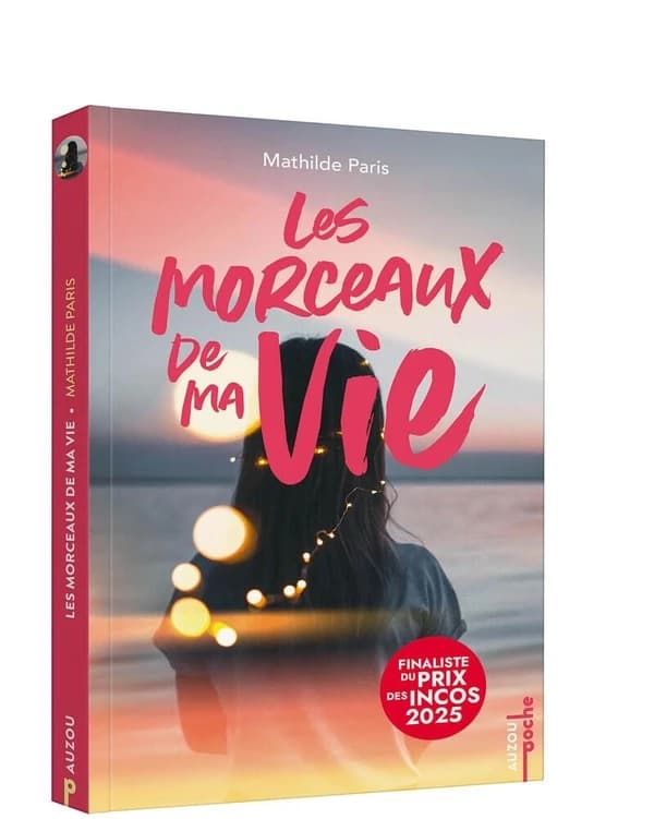 Les morceaux de ma vie