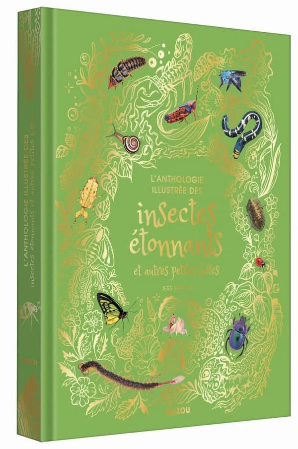 L'anthologie illustrée des insectes étonnants et autres petites bêtes