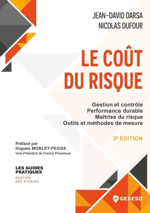 Le coût du risque : gestion et contrôle, performance durable, maîtrise du risque, outils et méthodes de mesure (3e éd.) Jean-David Darsa, Nicolas Dufour ; préfacé par Hugues Morley-Pegge,...
