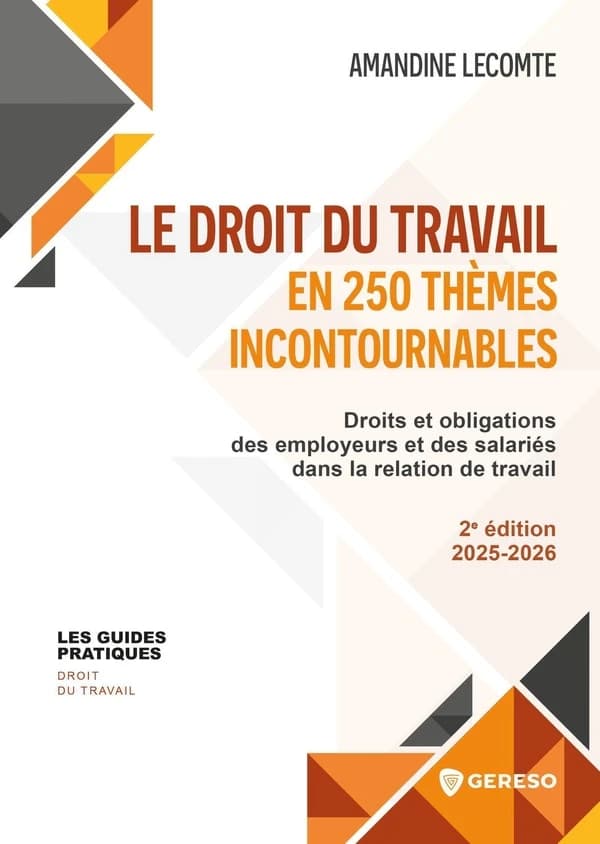 Le droit du travail en 250 thèmes incontournables : droit et obligations des employeurs et des salariés dans la relation de travail (2e éd. 2025-2026) Amandine Lecomte