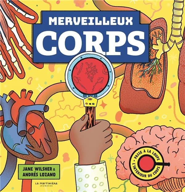 Merveilleux corps : passe à la loupe l'intérieur du corps