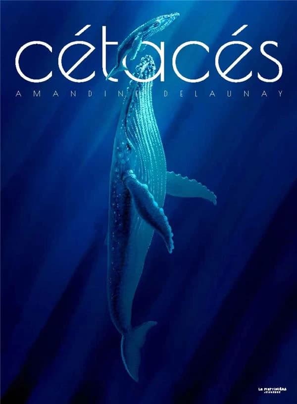 Cétacés