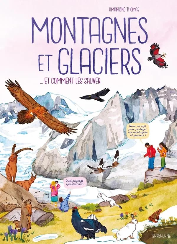 Montagnes et glaciers : &et comment les sauver