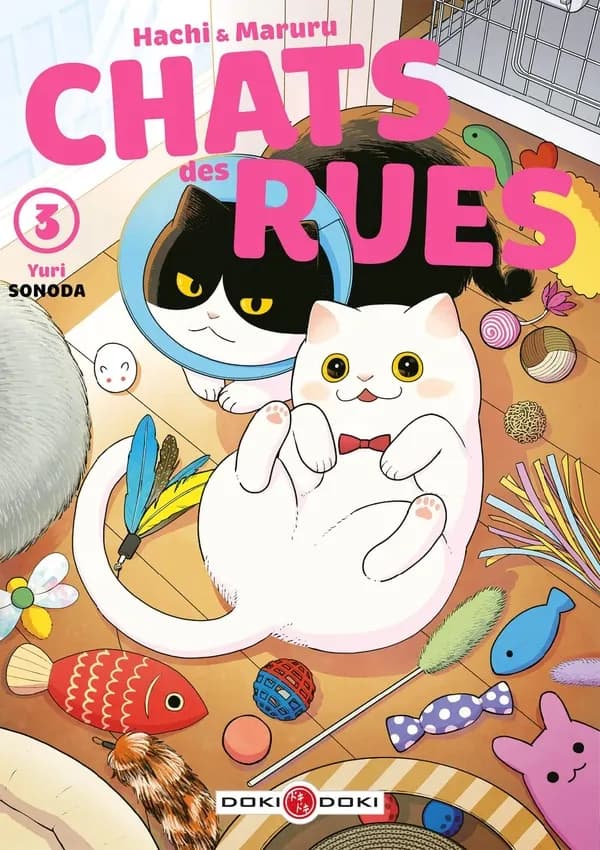 Chats des rues 3 : Hachi & Maruru