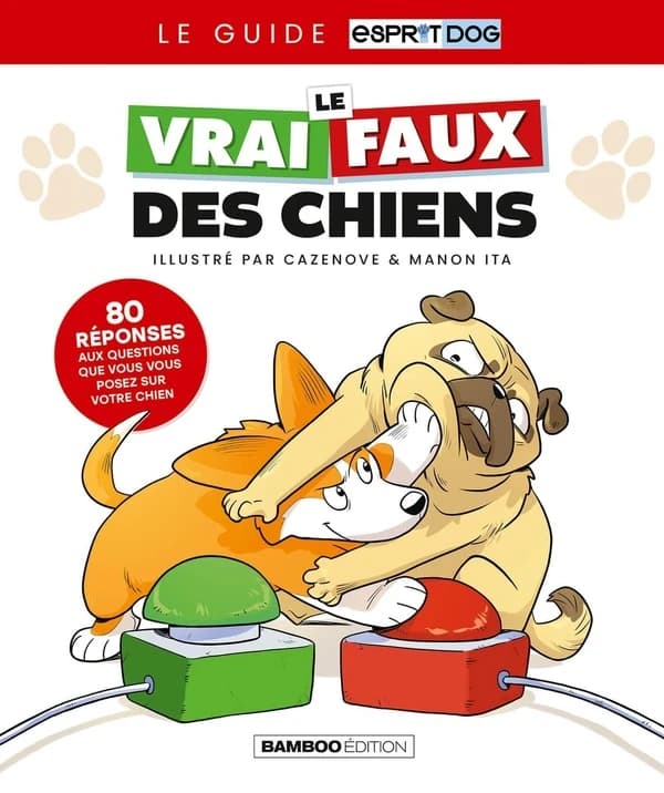 Le vrai-faux des chiens