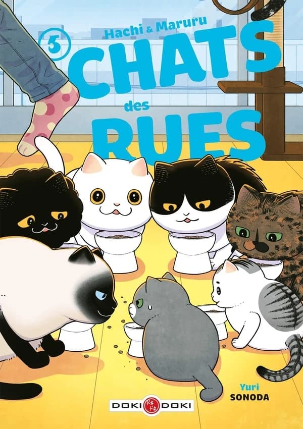 Chats des rues : Hachi & Maruru. 5