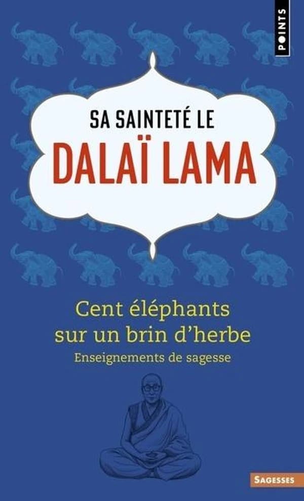 Cent éléphants sur un brin d'herbe : enseignements de sagesse