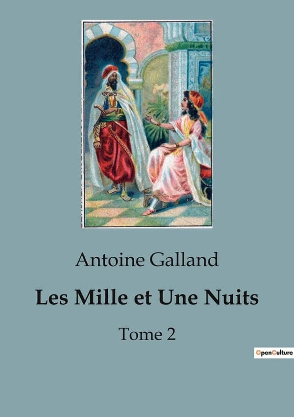 Les Mille et Une Nuits : Tome 2
