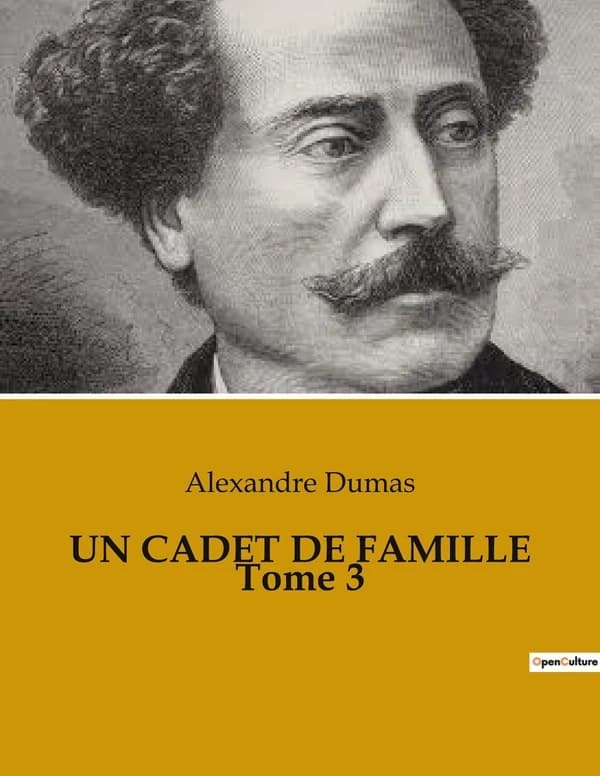 UN CADET DE FAMILLE Tome 3 : Les transitions d'un jeune noble dans une société en transition