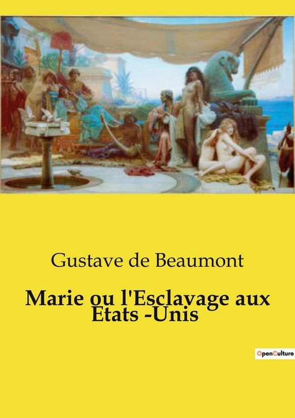 Marie ou l'Esclavage aux Etats Unis : Une exploration des contrastes sociaux et raciaux dans l'Amérique du XIXe siècle