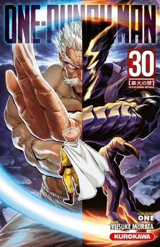 One-punch man. 30