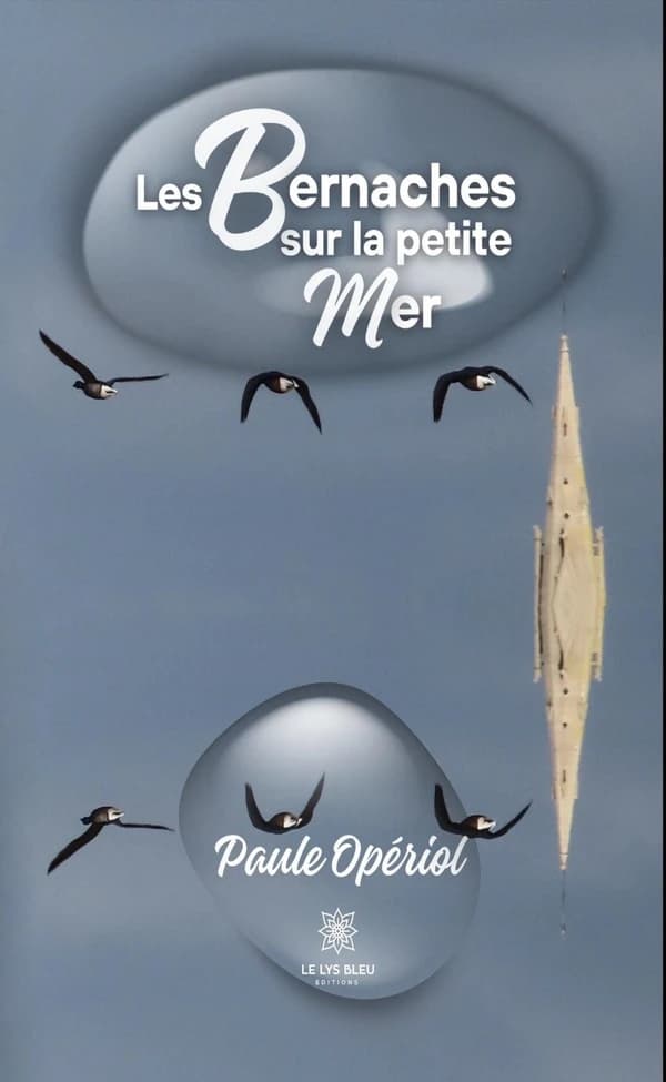 Les bernaches sur la petite mer : recueil