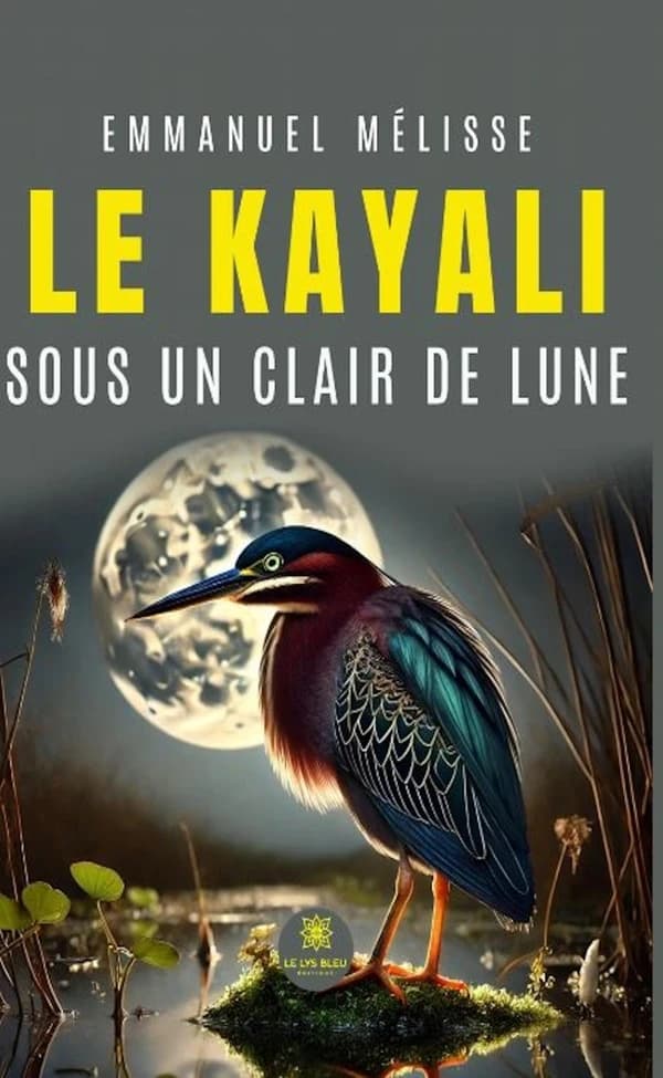 Le kayali sous un clair de lune : roman