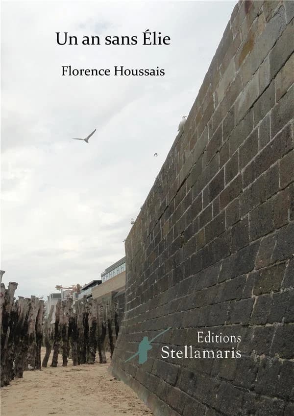 Un an sans Élie : journal poétique