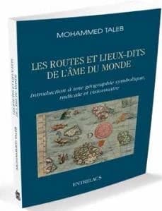 Les routes et les lieux-dits de l'âme du monde : introduction à une géographie symbolique, radicale et visionnaire