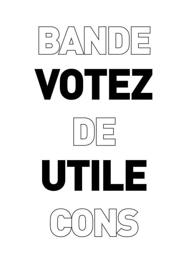 Votez utile ; bande de cons