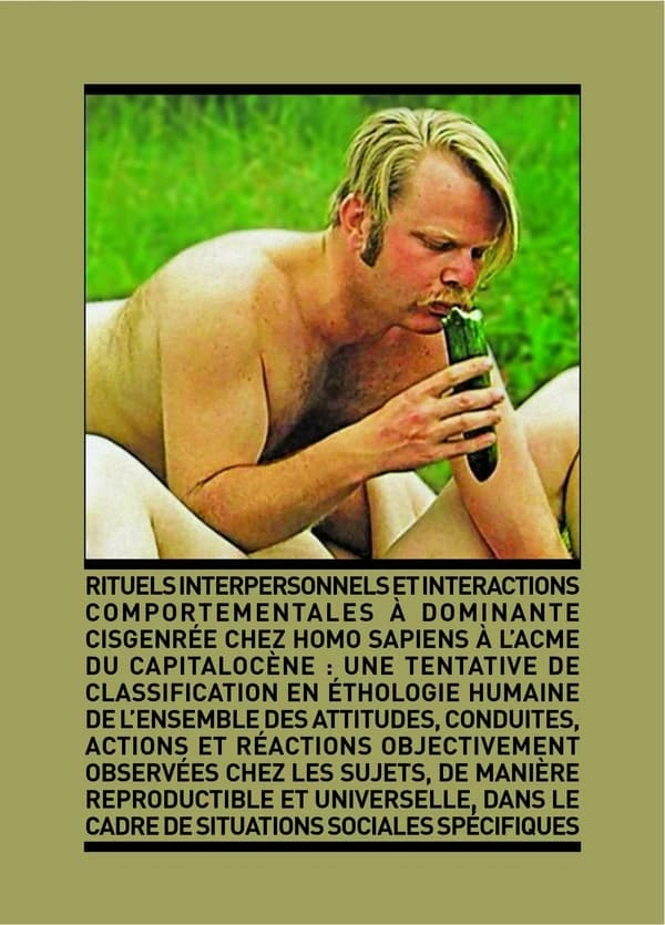 Rituels interpersonnels et interactions comportementales à dominante cisgenrée chez homo sapiens