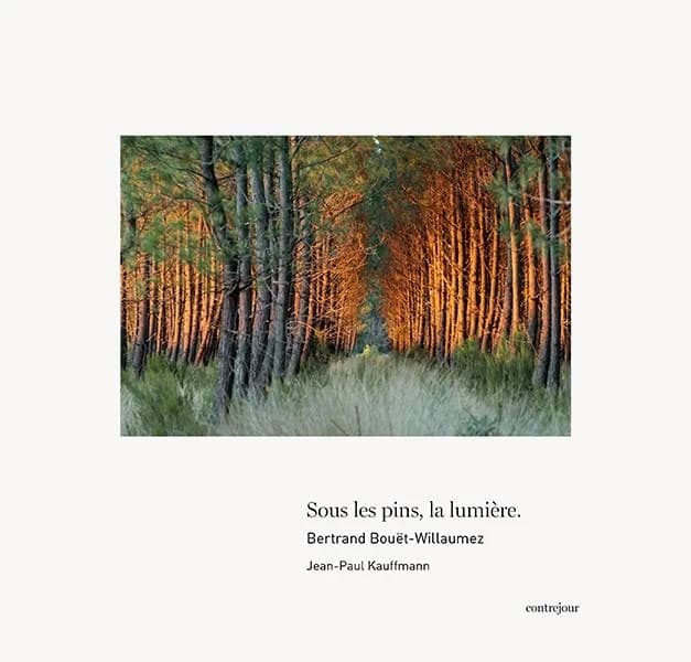 Sous les pins la lumière