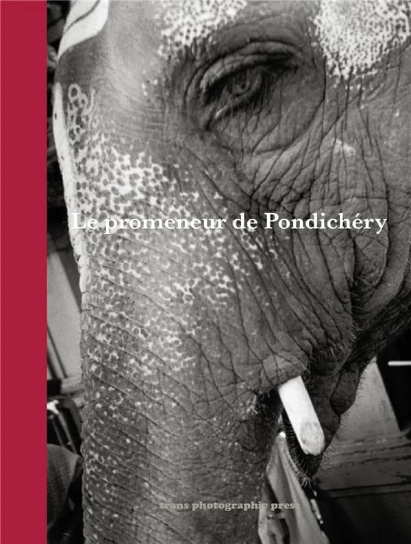 Le promeneur de Pondichéry