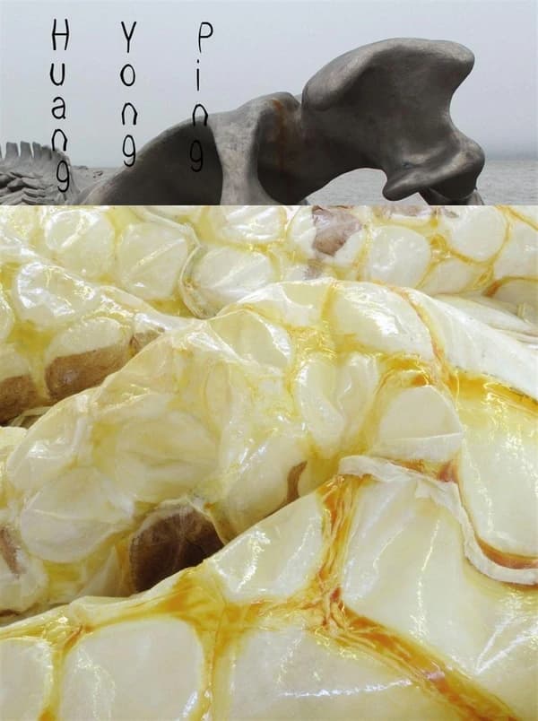 Les mues : [oeuvres de Huang Yong ping] : [exposition, Nantes, HAB galerie, 27 juin-2 novembre 2014]
