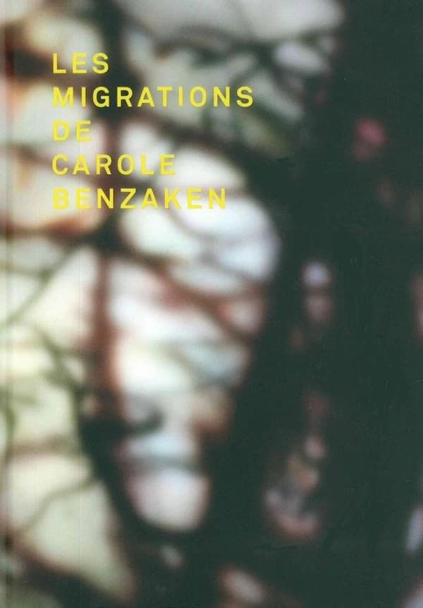 Les migrations de Carole Benzaken : [exposition, Nancy, Musée des beaux-arts, 18 avril-23 juin 2014]
