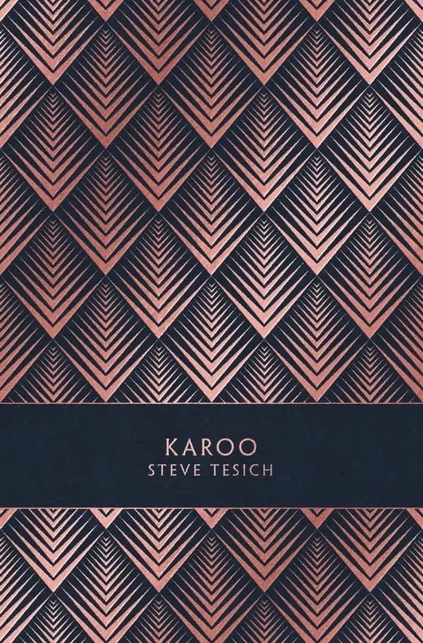 Karoo : roman