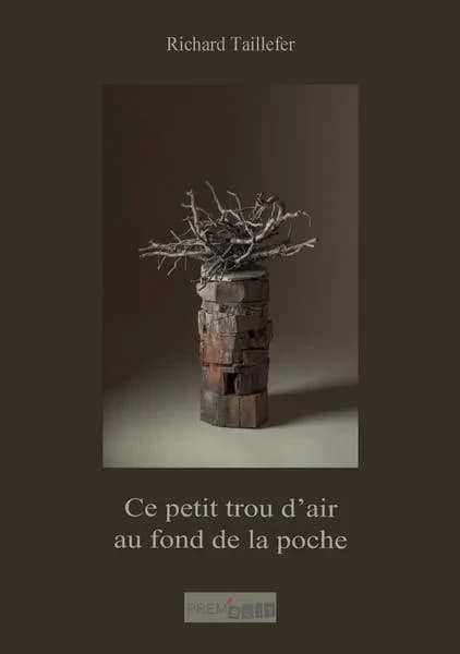 Ce petit trou d'air au fond de la poche : poéVie