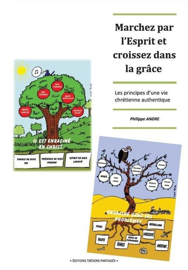 Marchez par l'esprit et croissez dans la grâce : le programme d'une vie chrétienne normale