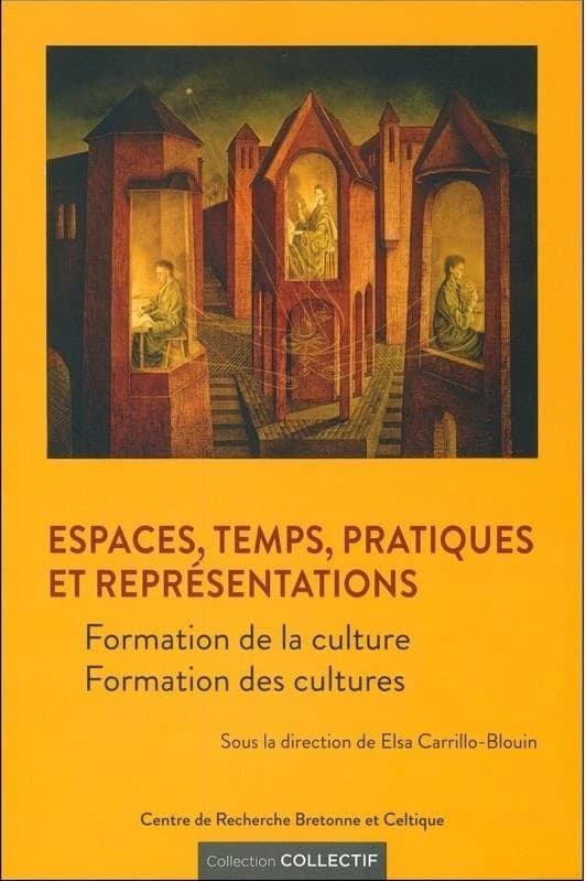 Temps, espaces, pratiques et représentations : formation de la culture, formation des cultures