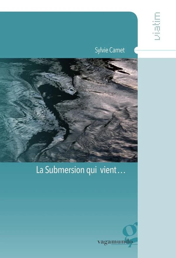 La submersion qui vient