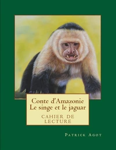 Le singe et le jaguar Tome 1 ; cahier de lecture