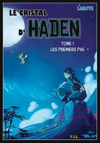 Les premiers pas