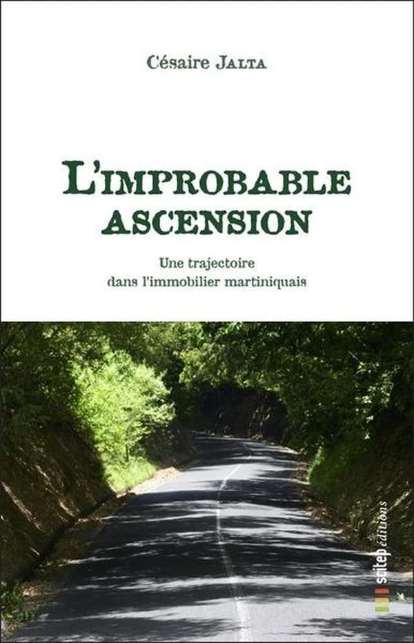 L'improbable ascension : Une tajectoire dans l'immobilier martiniquais