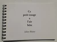 Ce petit nuage a l'air bête