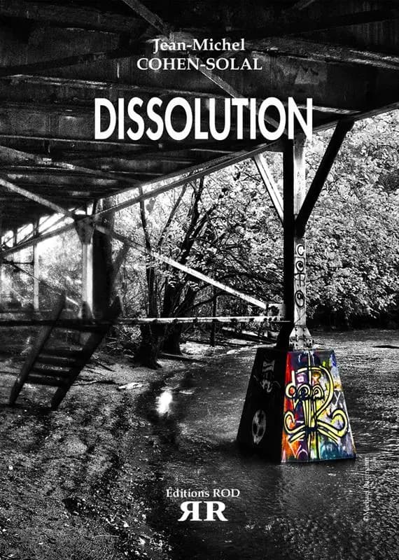 Dissolution : roman