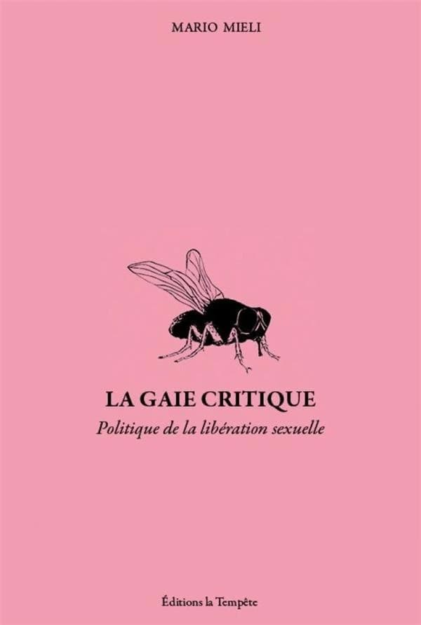 La gaie critique : politique et libération sexuelle dans les années soixante-dix : écrits, 1972-1983