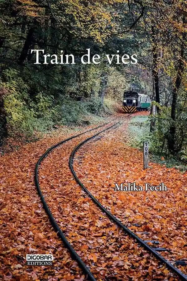 Train de vies