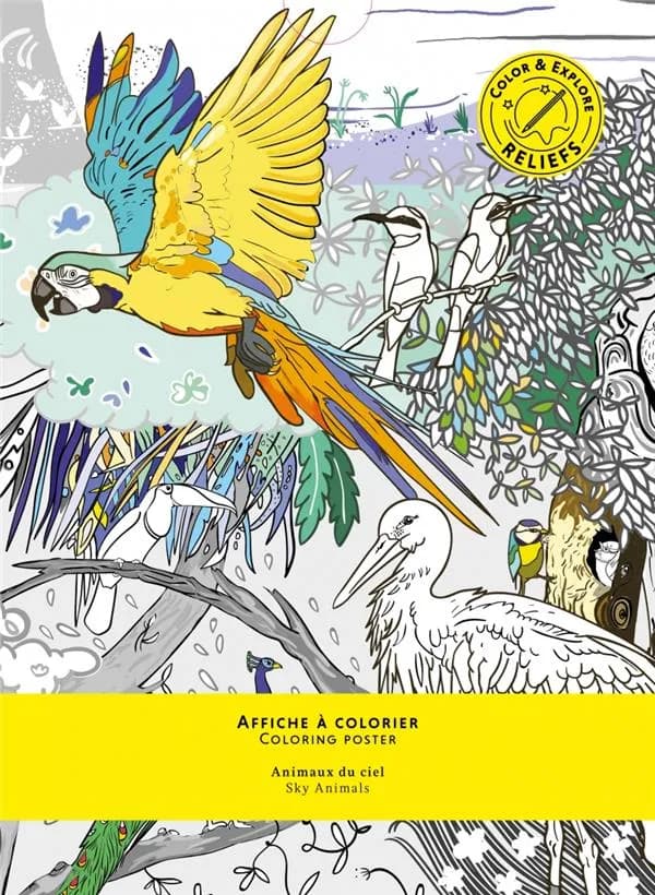 Animaux du ciel ; affiche à colorier