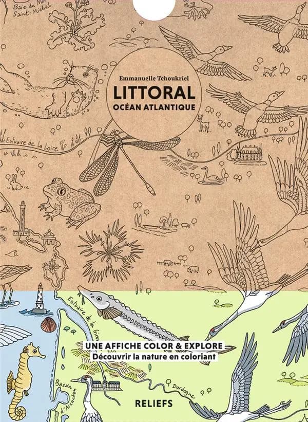 Littoral océan atlantique ; affiche à colorier