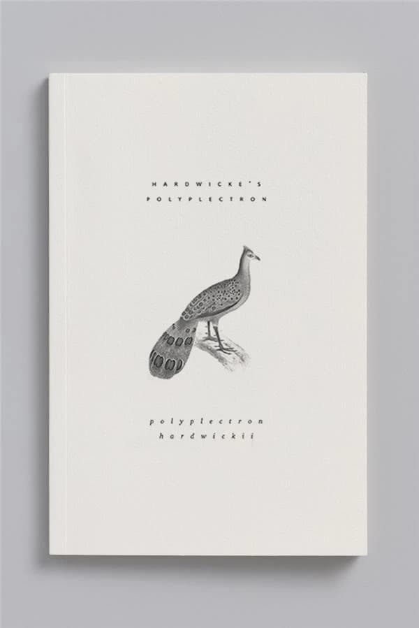 Carnet animal aquatique ; éperonnier malais