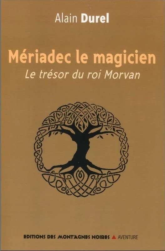 Mériadec le magicien : le trésor du roi Morvan : roman