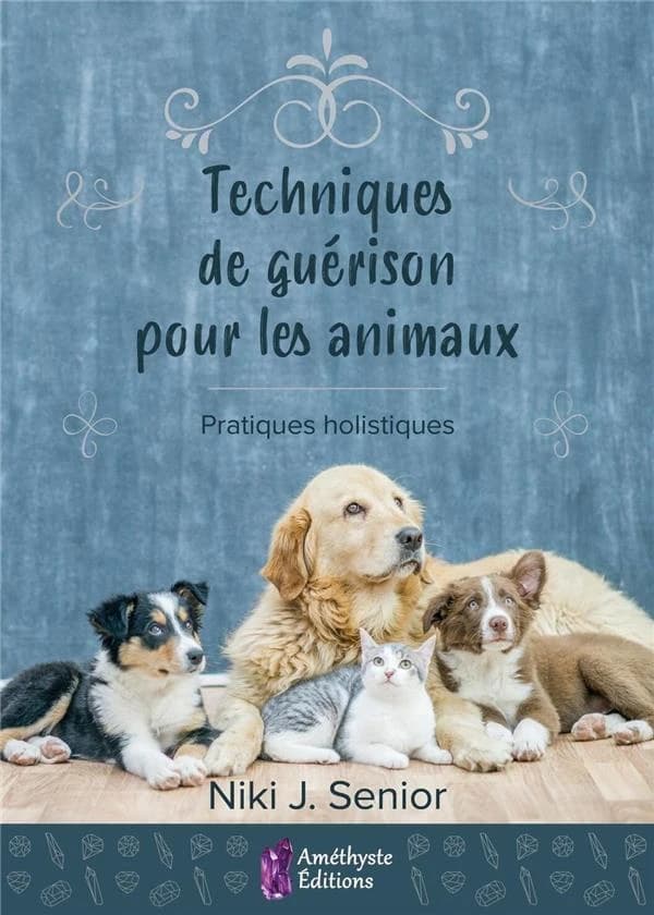 Techniques de guérison pour les animaux : pratiques holistiques