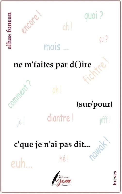Ne m'faites pas d(')ire (sur